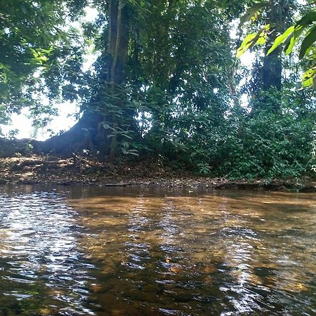 Guápiles Glamping Naioth 아파트 외부 사진