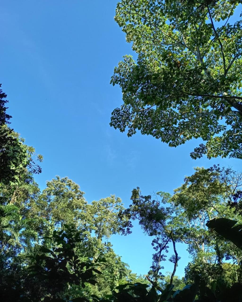 Guápiles Glamping Naioth 아파트 외부 사진