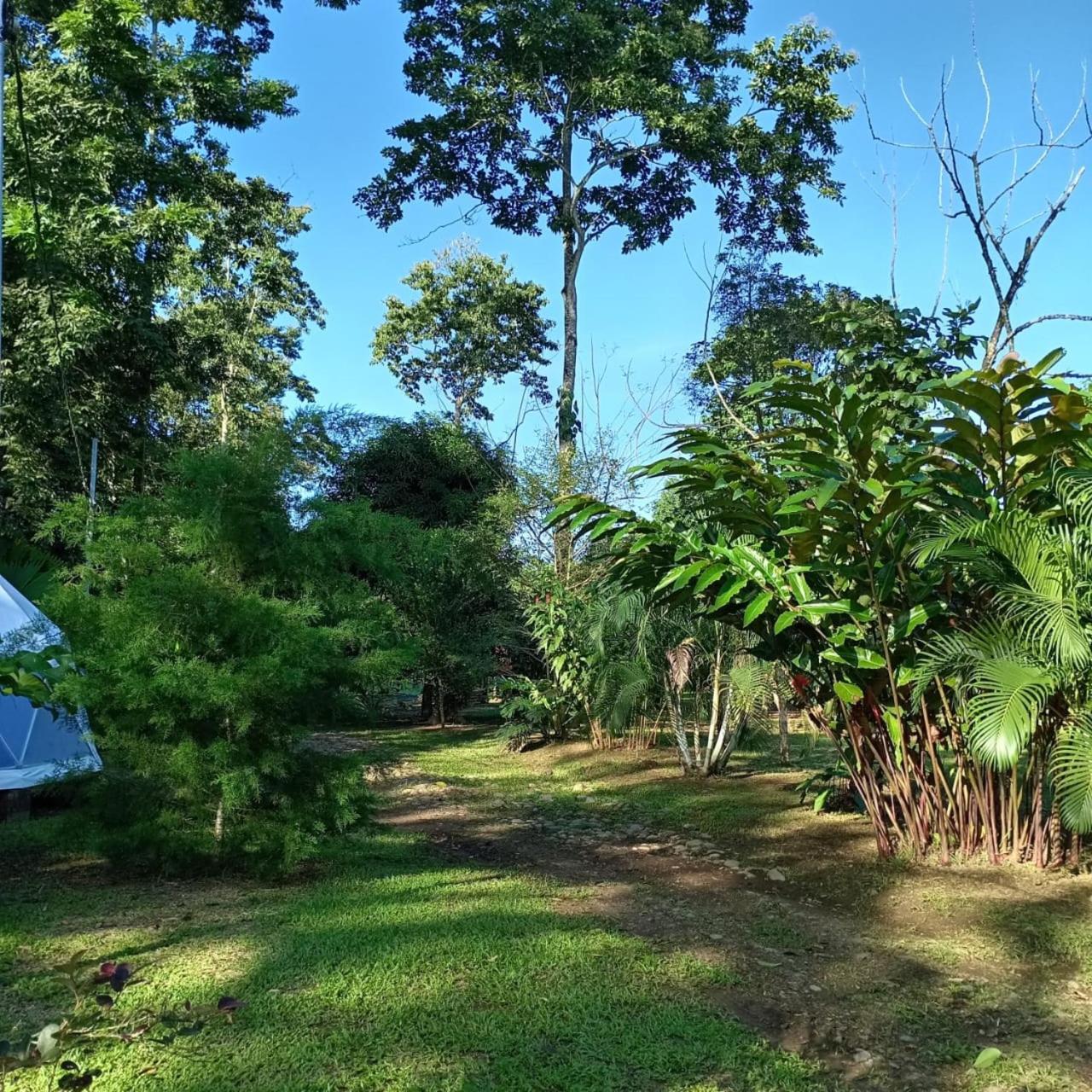 Guápiles Glamping Naioth 아파트 외부 사진