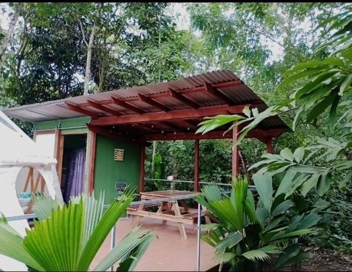 Guápiles Glamping Naioth 아파트 외부 사진