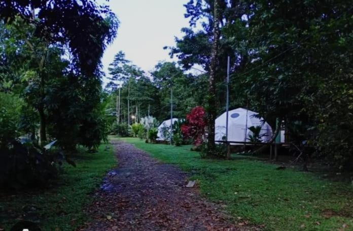 Guápiles Glamping Naioth 아파트 외부 사진