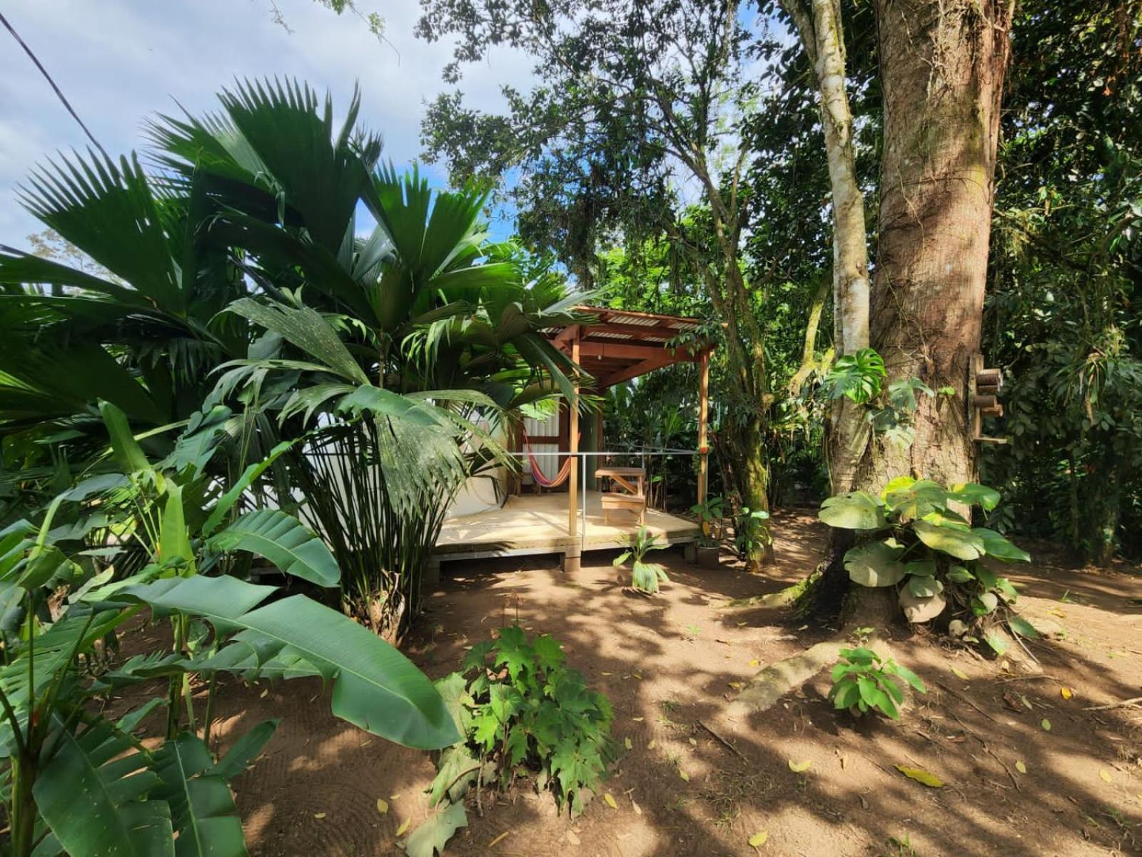 Guápiles Glamping Naioth 아파트 외부 사진