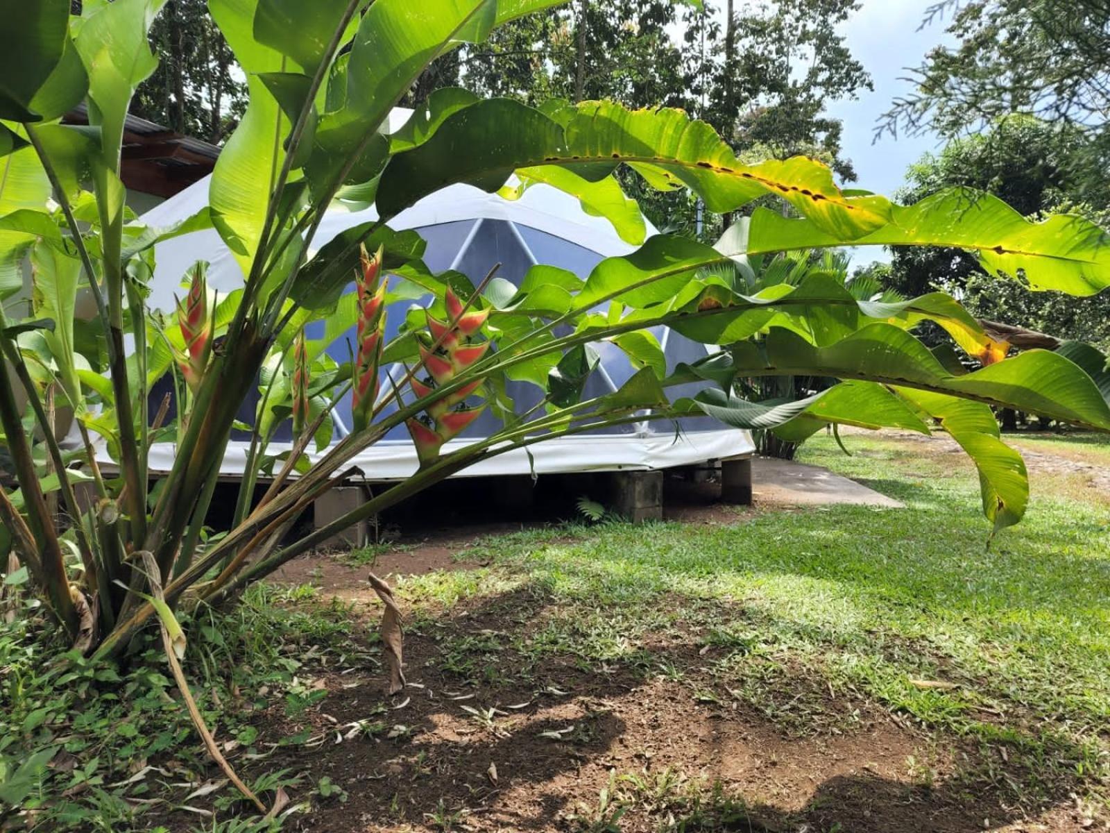 Guápiles Glamping Naioth 아파트 외부 사진