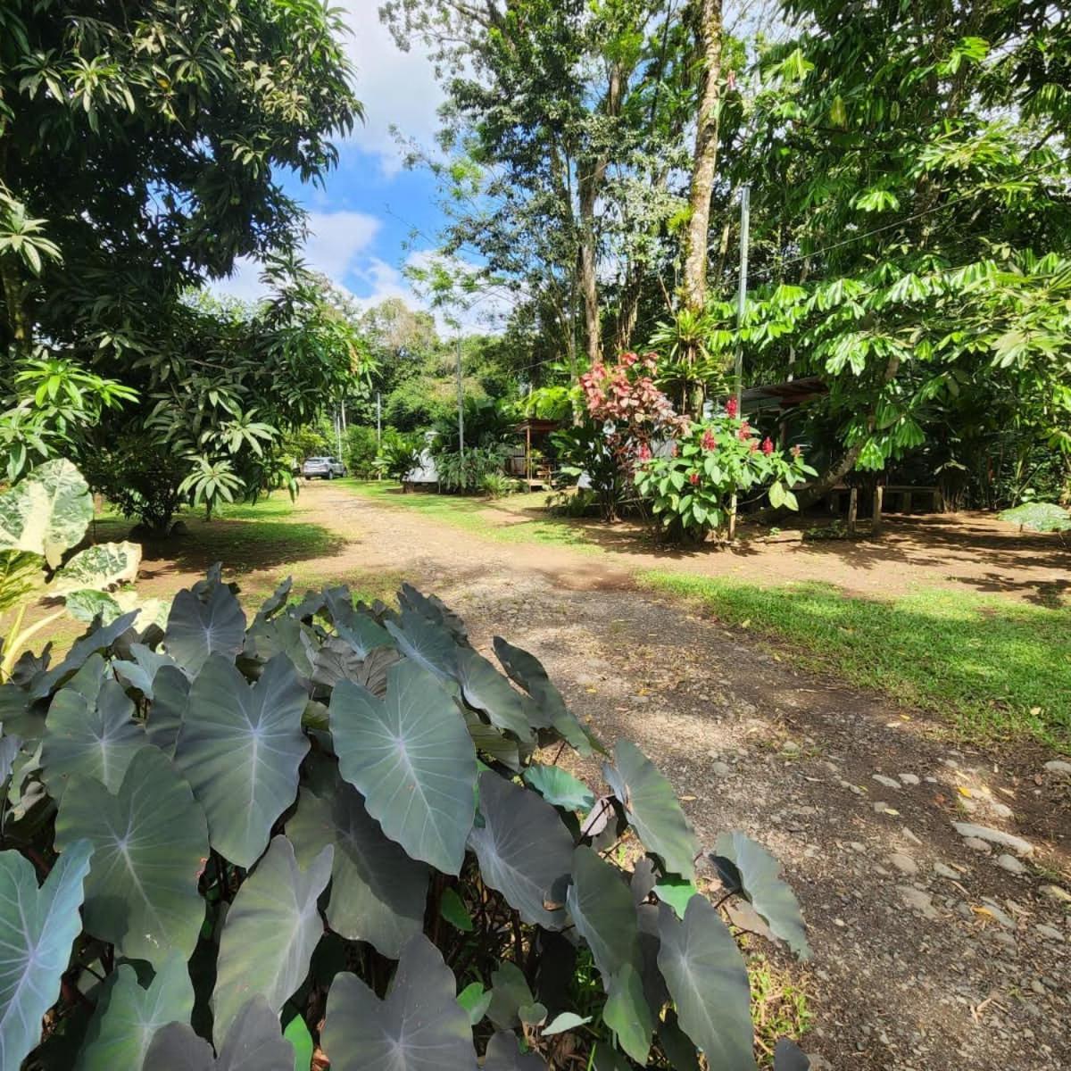 Guápiles Glamping Naioth 아파트 외부 사진