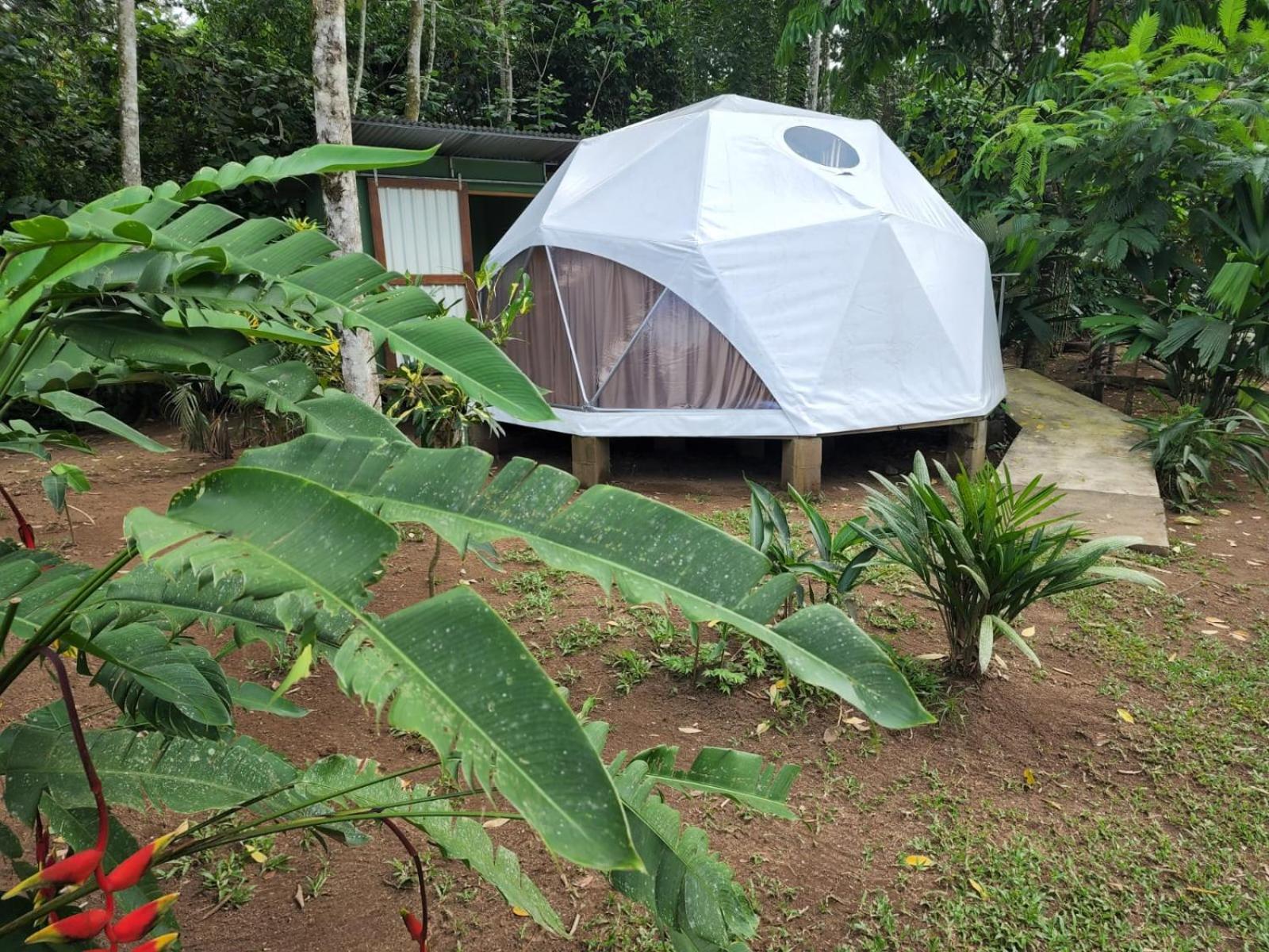 Guápiles Glamping Naioth 아파트 외부 사진