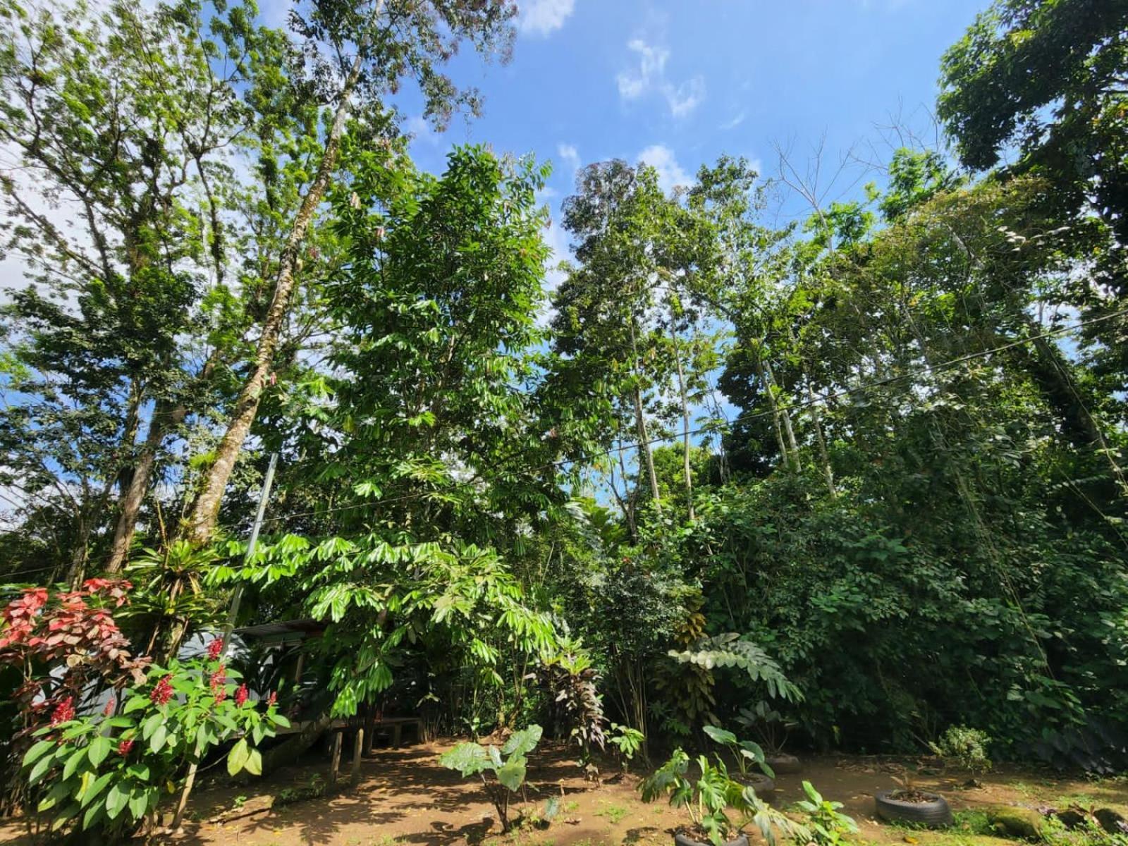 Guápiles Glamping Naioth 아파트 외부 사진