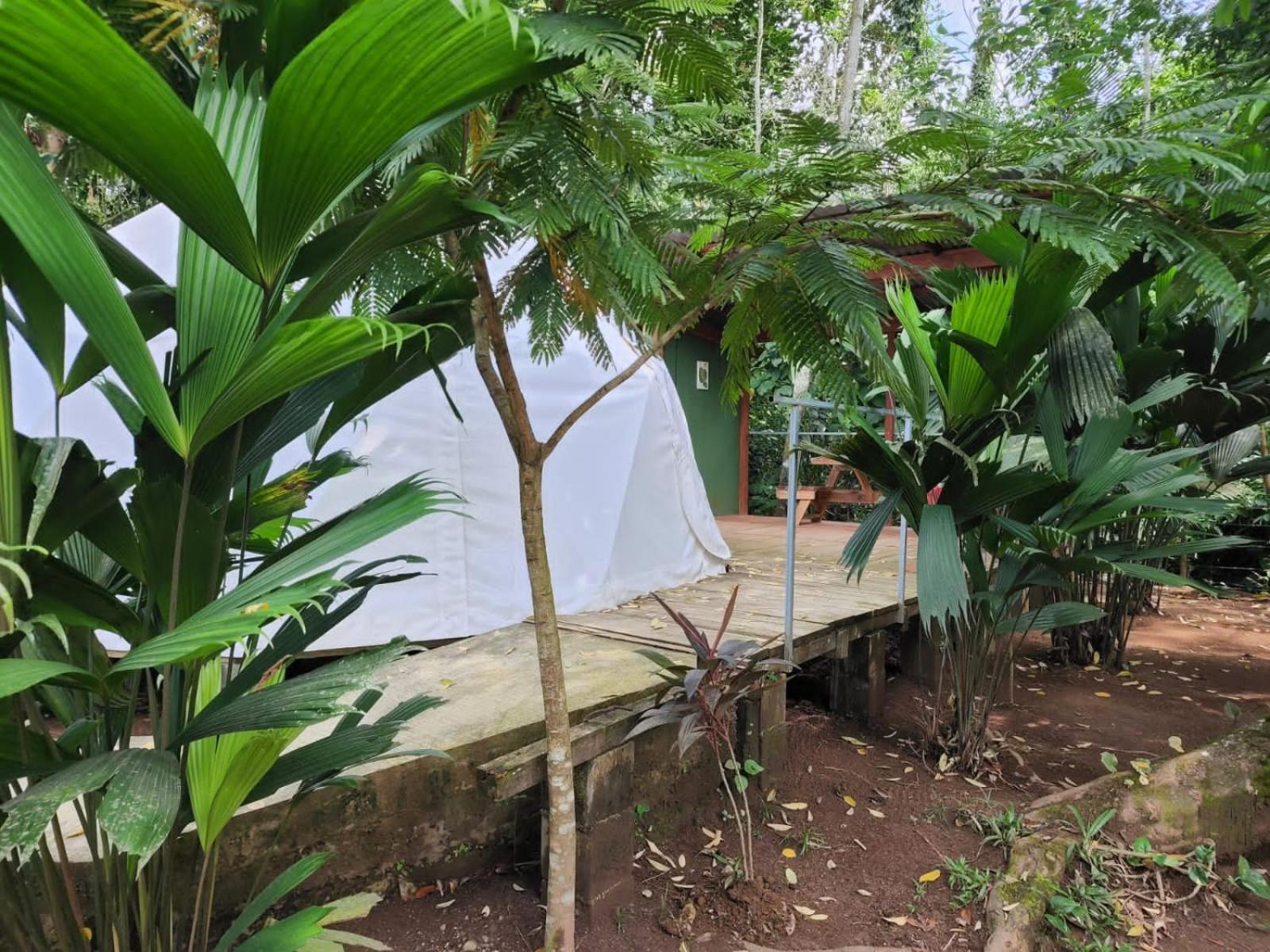 Guápiles Glamping Naioth 아파트 외부 사진