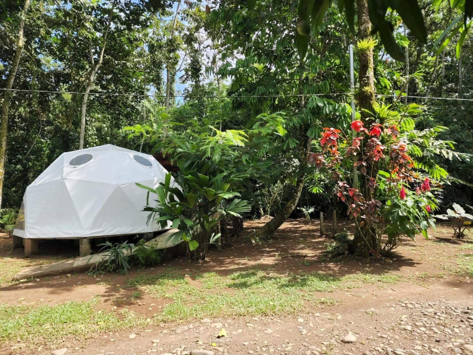 Guápiles Glamping Naioth 아파트 외부 사진
