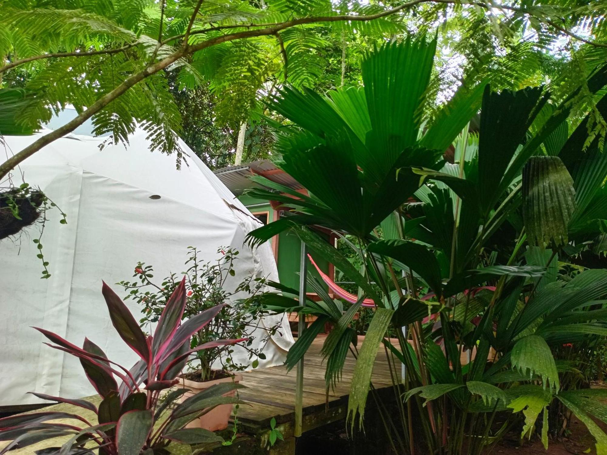 Guápiles Glamping Naioth 아파트 외부 사진