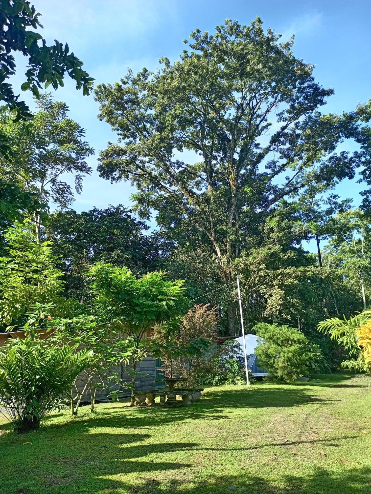 Guápiles Glamping Naioth 아파트 외부 사진