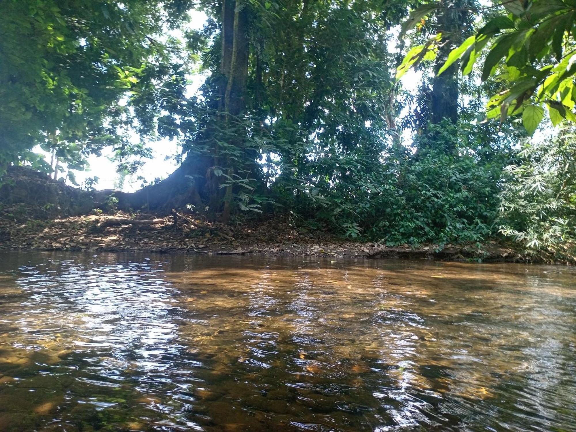 Guápiles Glamping Naioth 아파트 외부 사진